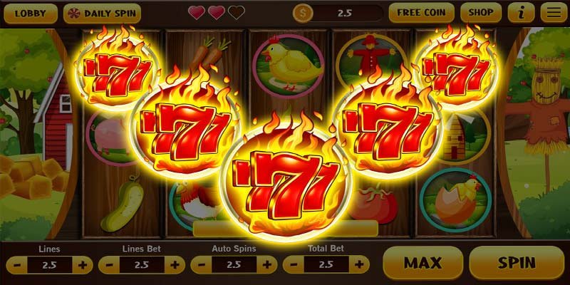 betwinner