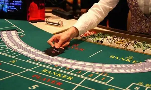 betwinner