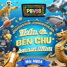 betwinner